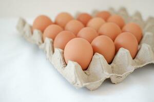 Eggs in a carton box on a white background photo