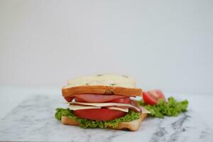 Sandwich with ham, cheese, tomato and lettucele background photo