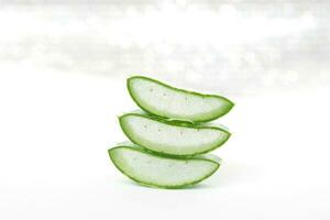 Aloe vera on a white background photo