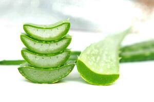 Aloe vera on a white background photo