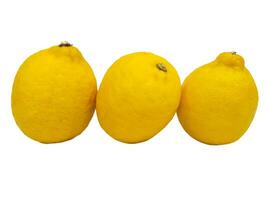 lemon on a white background photo