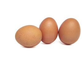 chicken eggs on a white background photo