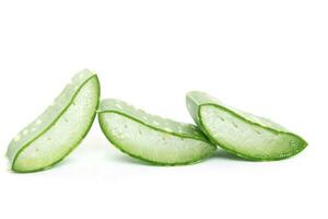 Aloe vera on a white background photo