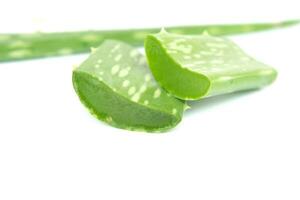 Aloe vera on a white background photo