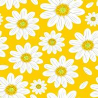 Wild chamomile flowers on a yellow background create a seamless summer pattern with large white flowers for textile. Vector. vector