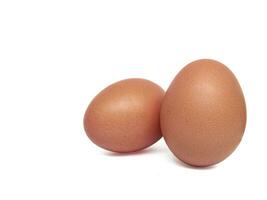 chicken eggs on a white background photo