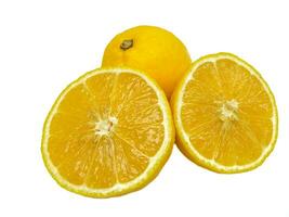 lemon on a white background photo