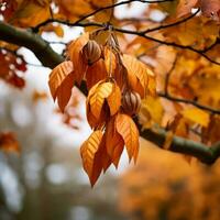 otoño hojas colgando desde un árbol rama generativo ai foto