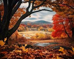 autumn landscape in new york city new york state united states of america generative AI photo