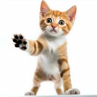 an orange and white kitten is reaching out for something generative AI photo