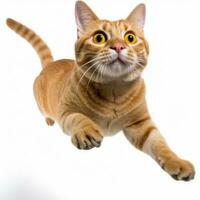 an orange tabby cat is flying through the air generative AI photo