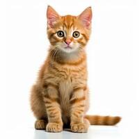 an orange tabby kitten sitting in front of a white background generative AI photo