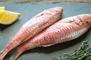 Raw red mullet with ingredients photo