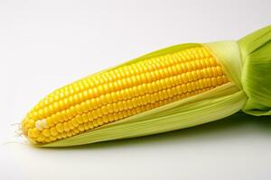 Image of peeled corn on plain backgroun photo