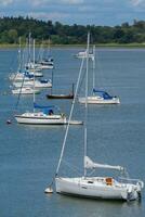 Row of Sailing Yachts on river moorings photo