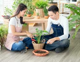 Portrait gardener young Asian man woman two person sitting floor smiling looking hand holding basket pot small tree leaf green in calm work shop home plant white wall. hobby job happy and care concept photo