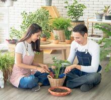 Portrait gardener young Asian man woman two person sitting floor smiling looking hand holding basket pot small tree leaf green in calm work shop home plant white wall. hobby job happy and care concept photo