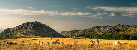 Sunset at the mountains in Albergaria da Serra, Portugal. photo