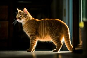 un naranja atigrado gato es en pie en frente de un puerta generativo ai foto