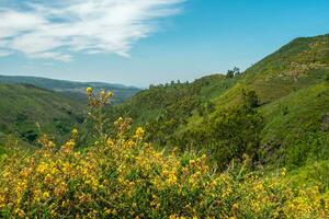 Beautiful green valley at Albergaria da Serra, Portugal. photo