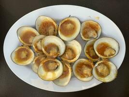 mussels on a white plate photo