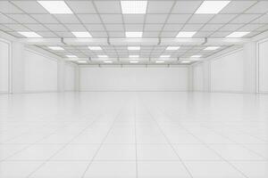 Capacious empty room, business background, 3d rendering. photo