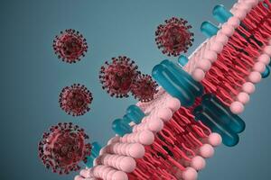 célula membrana y coronavirus, médico concepto, 3d representación. foto