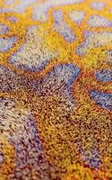 Abstract flowing lines, flowing particles, 3d rendering. photo