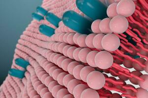 Cell membrane and biology, biological concept, 3d rendering. photo