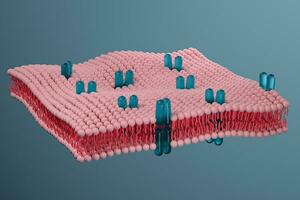 Cell membrane and biology, biological concept, 3d rendering. photo