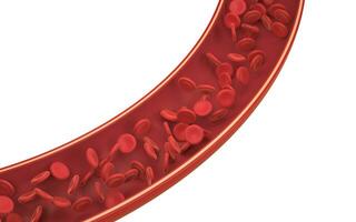 rojo sangre células en el sangre buque, 3d representación. foto