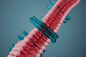 célula membrana y biología, biológico concepto, 3d representación. foto