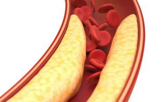 grasa y rojo sangre células en sangre vasos, 3d representación. foto