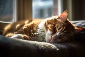 an orange and white cat laying on a blanket generative AI photo