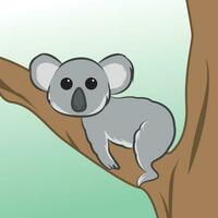 Koala on tree vector illustration