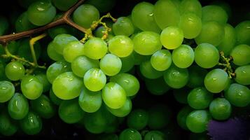 Realistic photo of a bunch of green grapes. top view fruit scenery.