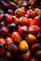 Realistic photo of a bunch of oil palm fruit. top view fruit scenery. AI Generated