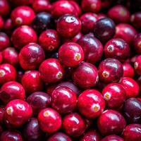 Realistic photo of a bunch of cranberries. top view fruit scenery. AI Generated