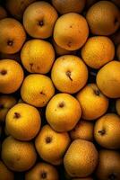 Realistic photo of a bunch of asian pears. top view fruit scenery. AI Generated