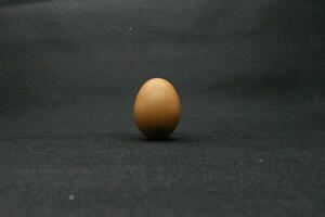 chicken egg with black background photo