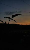 View of the beautiful blue and orange sky and silhouettes of leaves photo