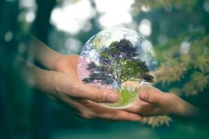 earth day concept senior hands giving small planet earth with tree to a child over defocused green background with copy space, elements of the image furnished by nasa photo