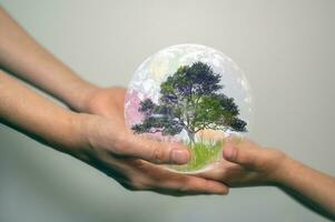 earth day concept senior hands giving small planet earth with tree to a child over defocused green background with copy space, elements of the image furnished by nasa photo