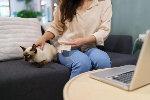 mujer trabajando desde hogar con gato. gato dormido en el ordenador portátil teclado. asistente gato trabajando a ordenador portátil foto