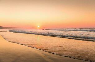 Tropical sea sunset tree sky view background photo