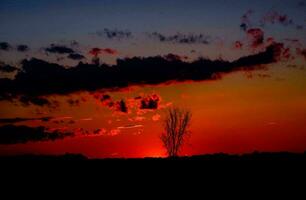 Tropical sea sunset tree sky view background photo