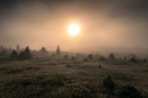 Sun on hill in foggy on the morning photo