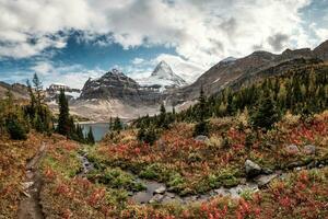 Mount Assiniboine with Lake Magog on Autumn forest at provincial park photo