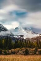 montar Assiniboine en brumoso en dorado desierto en el Mañana a nacional parque foto