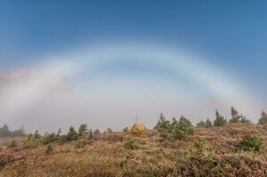 Natural fog bow on meadow with blue sky in national park photo